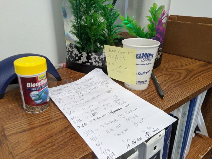 My Office Has Been Working From Home For Weeks. I Had Sent Out An Email Asking That Anyone Who Has To Drop By The Office To Feed My Fish. I Went In Today For The First Time...someone Made A Log Book. I'm Crying