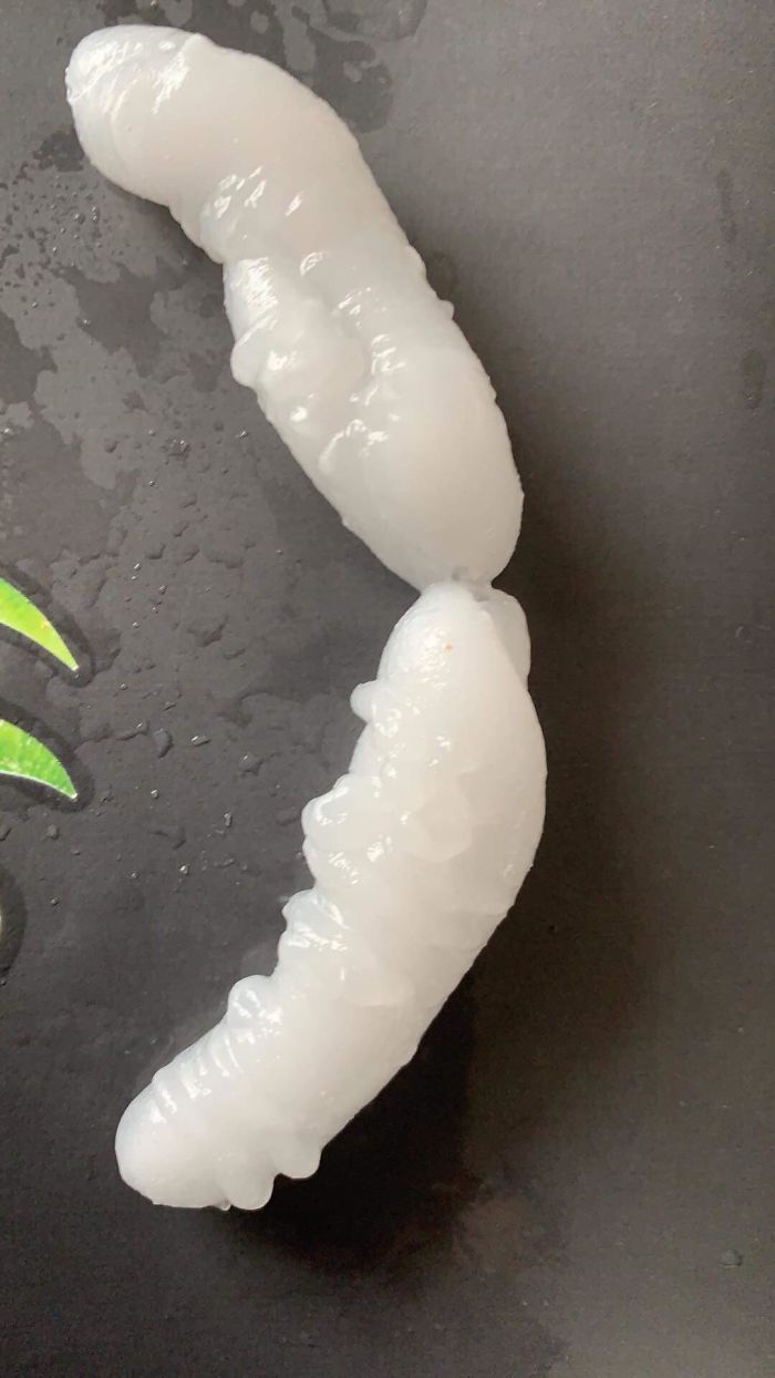 Poured A Glass Of Water Last Night From The Tap Left It Under The Light On The Night Stand, Next Morning I Found This Floating In It... What Could It Be?