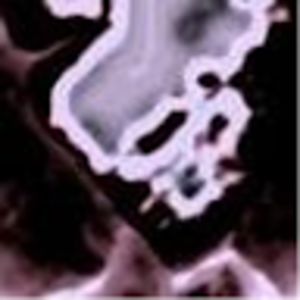 jovanjanevski avatar