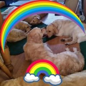 allathigham_1 avatar