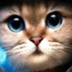 strahdivarius avatar