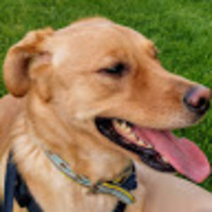 kelleymcalpin avatar