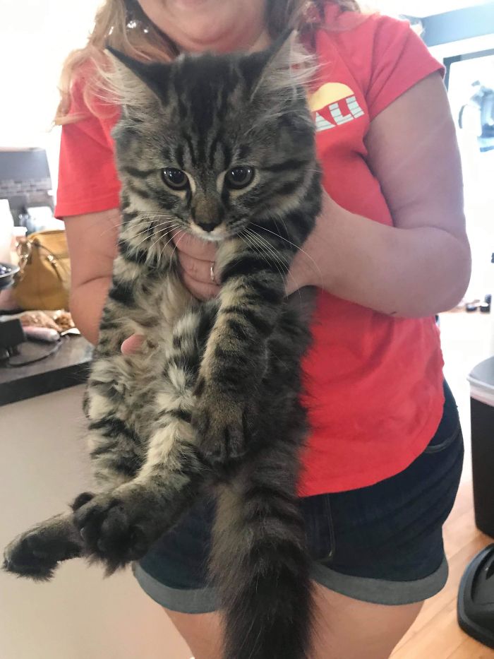 12 Weeks Old, Working Up To Be An Absolute Unit