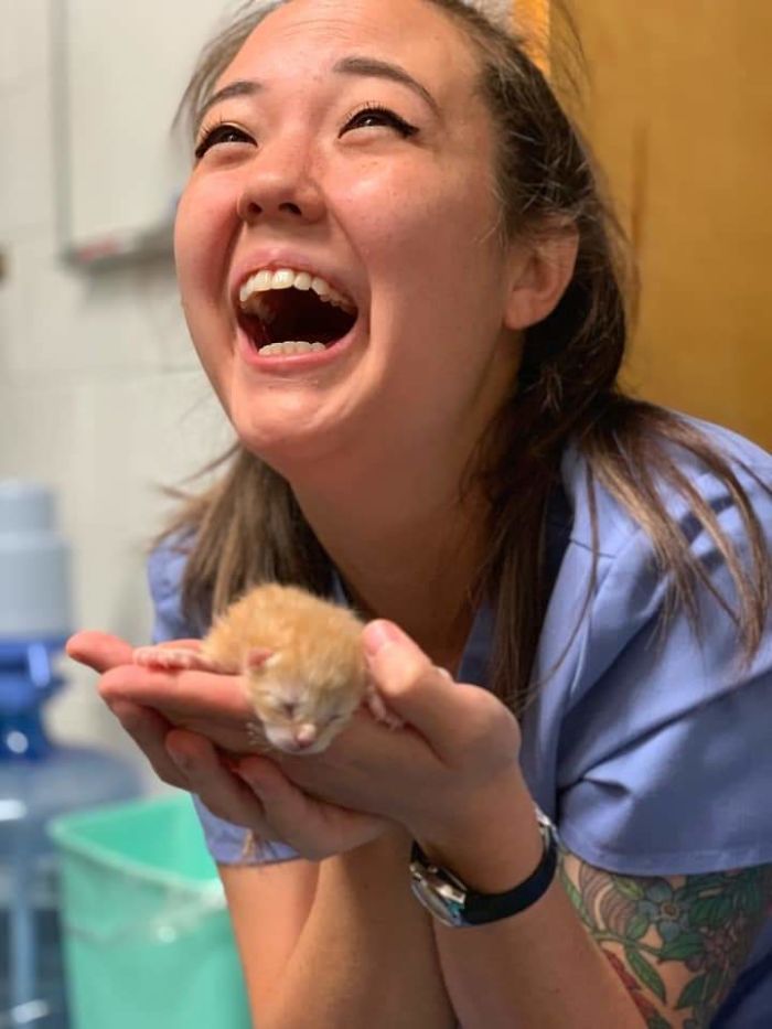 My Friend Found A Kitten At Work Today. This Was Her Reaction
