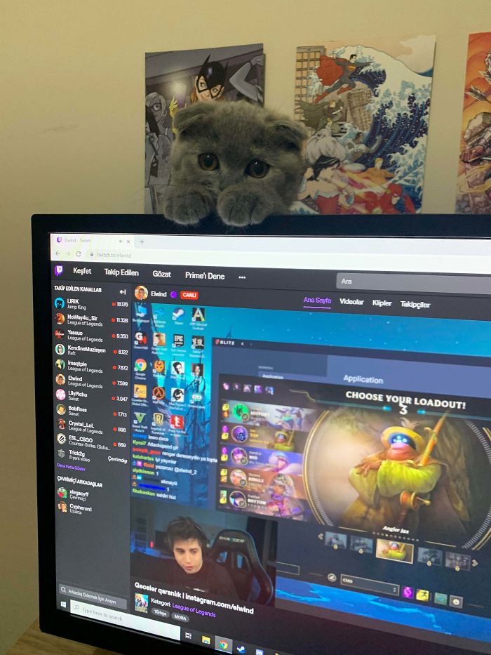 This Is How I Know When She Wants To Play