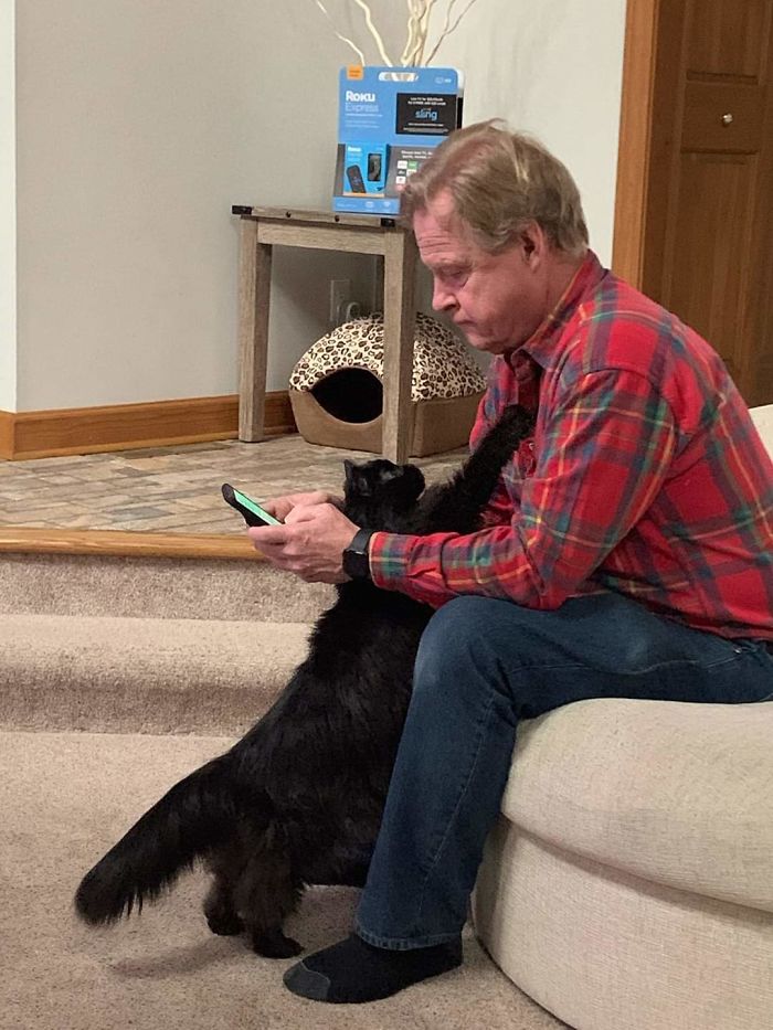 The Family Cat Is Really Just My Dad's Cat.