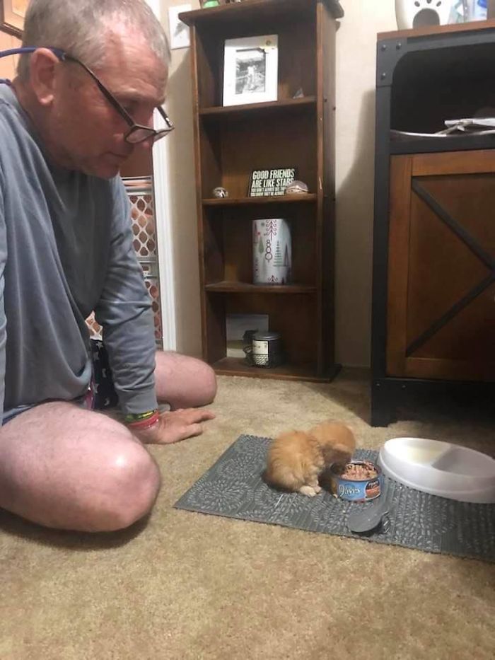 My Dad Just Got A Kitten.