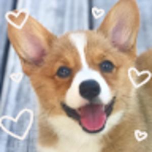 hannahburbridge avatar