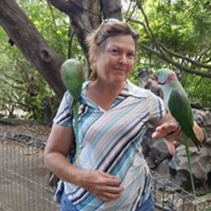 kelseywalton101 avatar