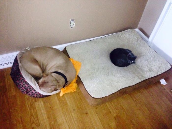 What's Wrong With This Picture?