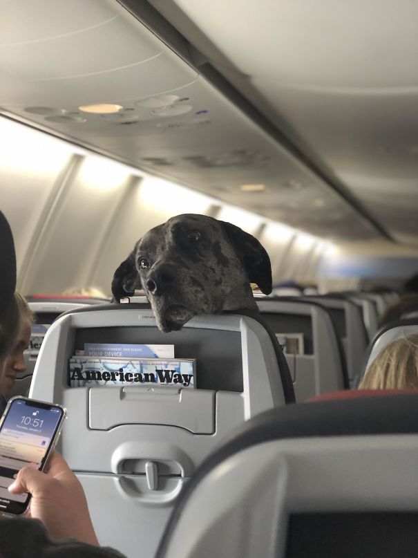 Today’s Flight Just Got Interesting