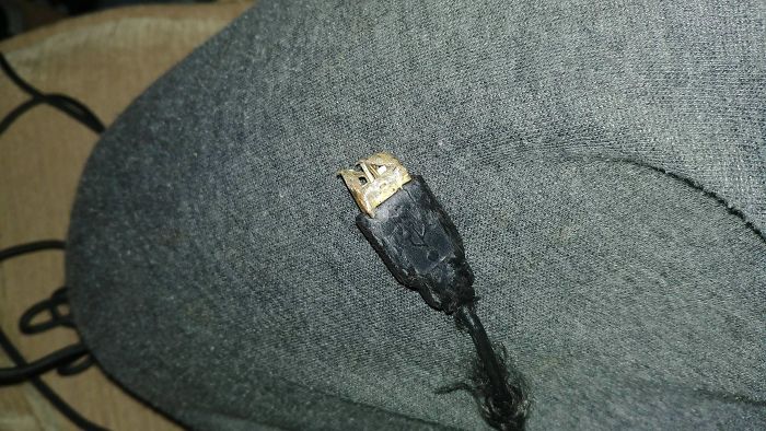 The Cable Of My Favorite Gaming Mouse Dragged Along 300 Miles Of Road Hanging Out My Car Door By Mistake