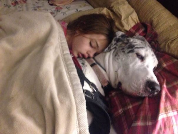 My Daughter Was Home Sick One Day. When I Peeked Into Her Room, This Is What I Found