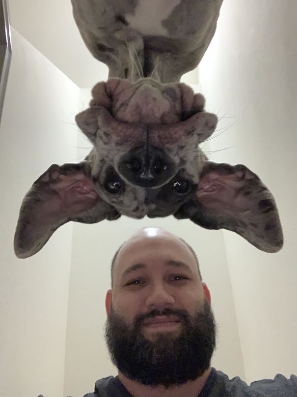 My Two Loves, Waiting On Our Hooman Baby To Join Us Any Day