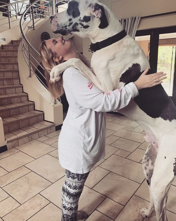 Big Hug From A Best Friend