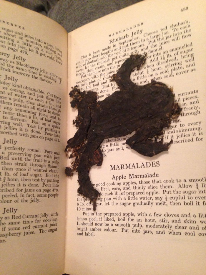 Looking Through An Old Cookery Book I Just Found And There's A Squashed Frog As A Bookmark