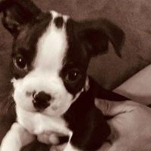 keptwoman2004 avatar