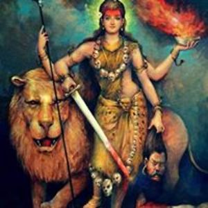 shamayitapatraster avatar