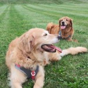 michael_c_kenney avatar