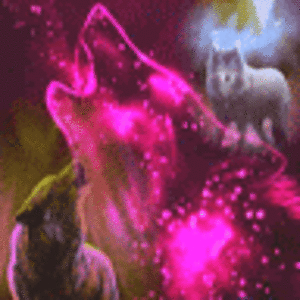 zakaryjohnson avatar