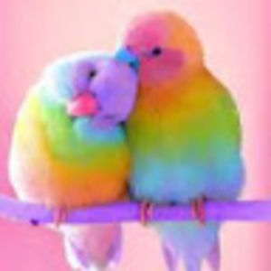 adalyngephart avatar