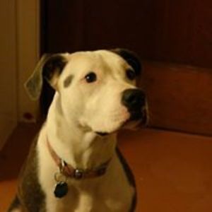 townsendmarian avatar