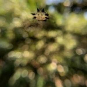 elisabeth_moriarty avatar