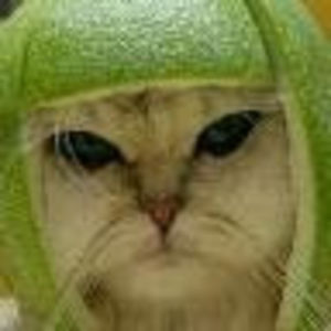 robbertmorgan avatar