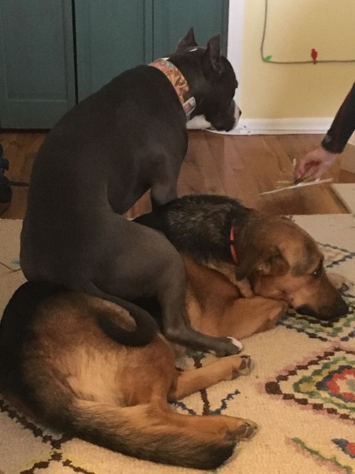 Sometimes Big Sisters Are Too Patient