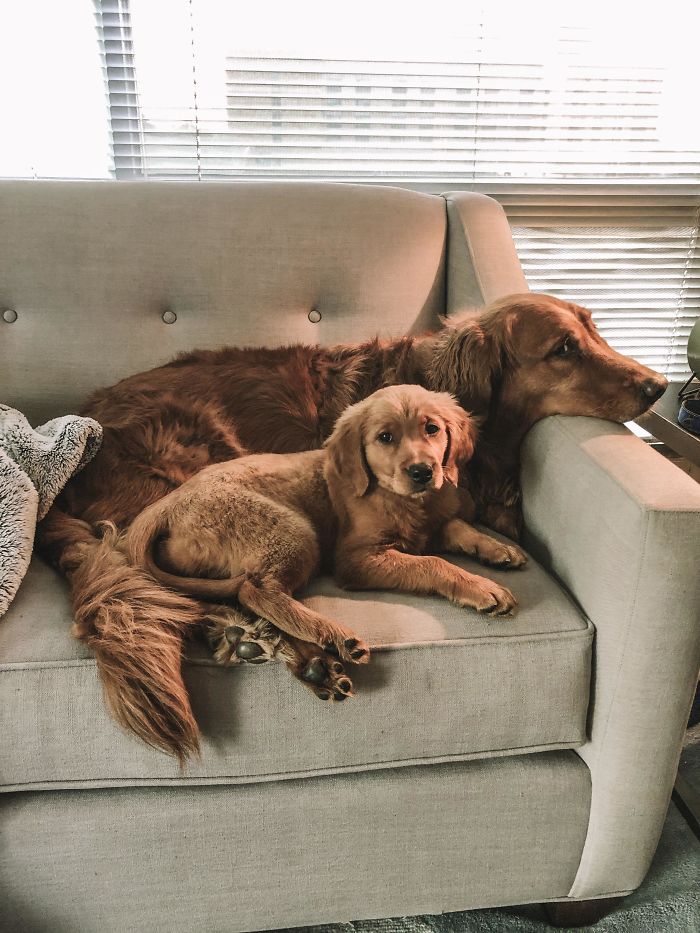 Someone’s Not Happy He’s Been Promoted To Big Brother