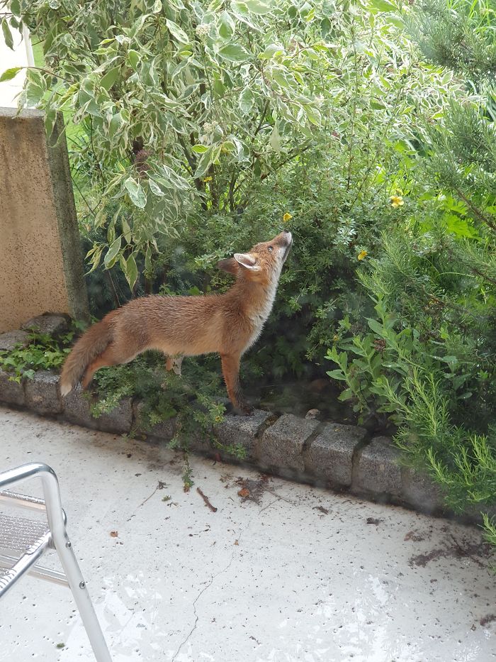 I Found This Kit Lying In My Garden. What Could I Have Done Better?