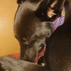 adrian_smythe avatar