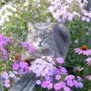 luann_alexander avatar