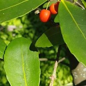 colleen_hennessy avatar