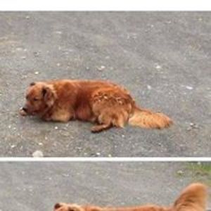 jennfoster746 avatar