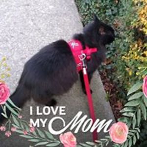 f_r_mckinney_rickey avatar