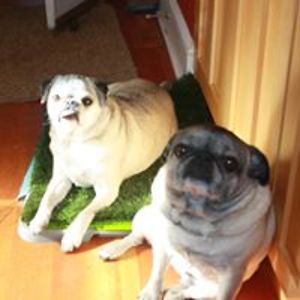 kristinablake avatar