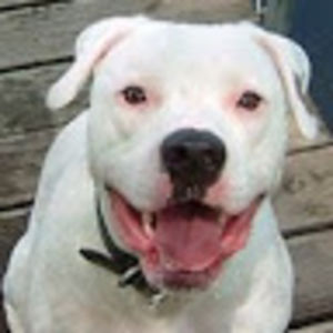 graciefriesen avatar