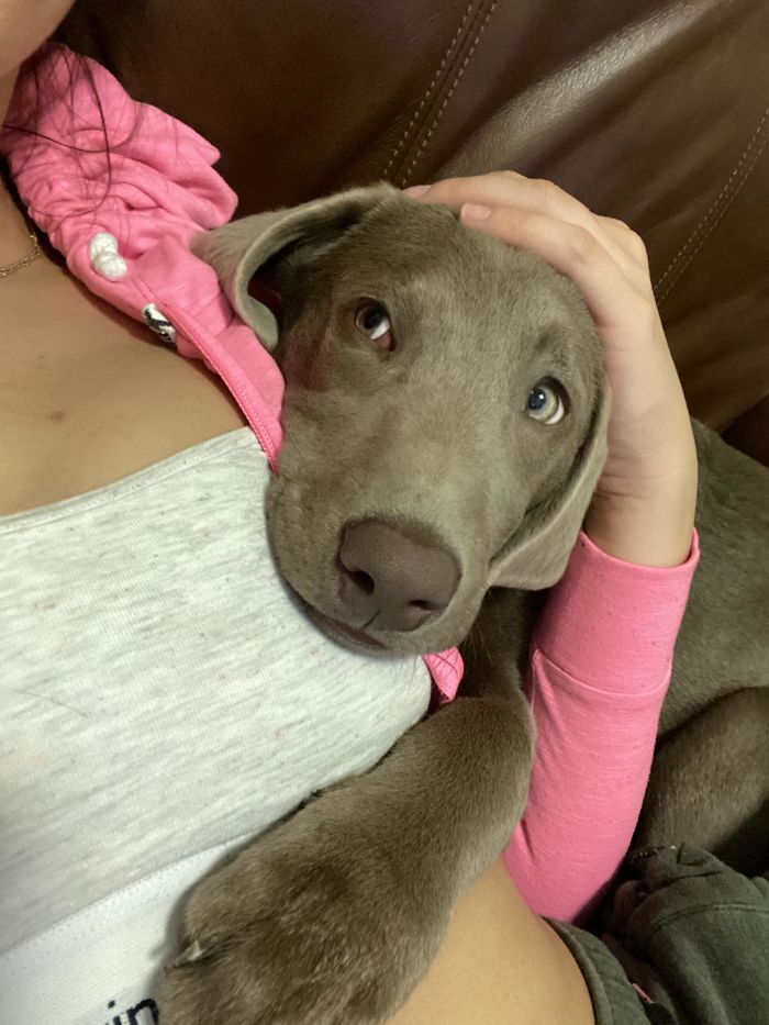 Dallas Is A Momma's Boy