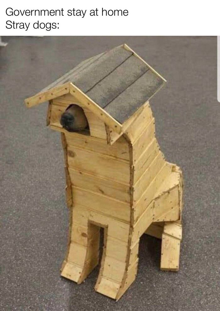 Quarantine-Corona-Jokes