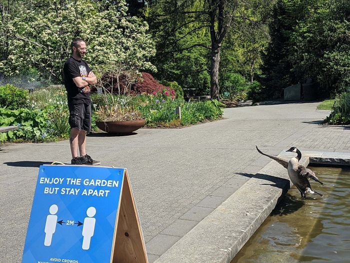 Quarantine-Corona-Jokes