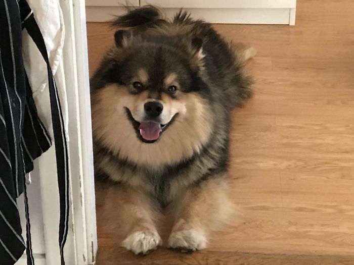 We Haven’t Seen Each Other In Three Weeks And He Won’t Stop Staring A Me Like This