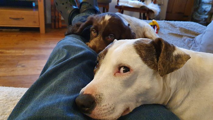 Morning Post Walk 'Mirin