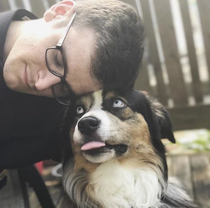 This Is Mowgli. He’s My Good Friend’s Sister’s Dog Who Just Absolutely Loves Me For Some Reason. I’m Not Complaining