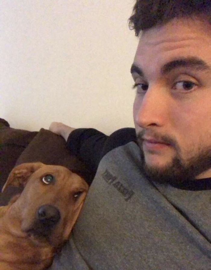 I Hope You All Find Someone Who Looks At You The Way My Dog Looks At Me