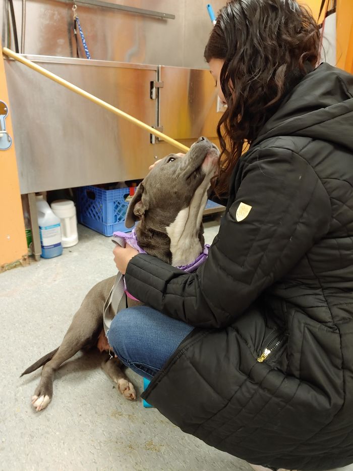 Rescue Pup 'Mirin My Roommate