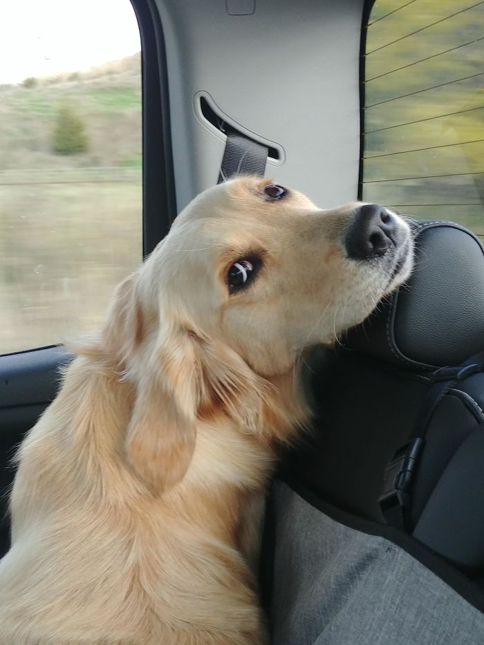 The Way She Looks At Me Always Makes My Heart Melt