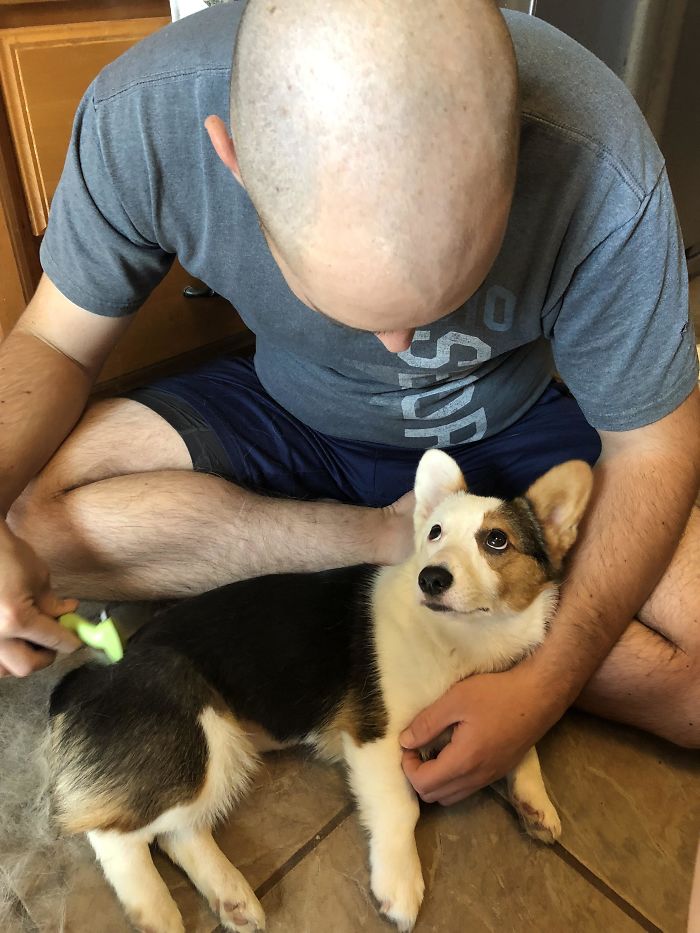 She Enjoys Brush Time With Dad