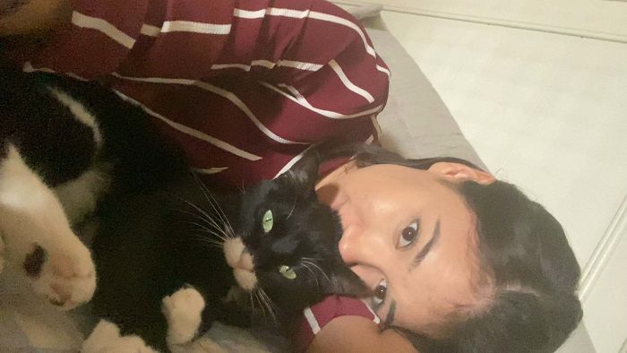 When I Adopted Lulu About 3 Years Ago, She Hated To Be Touched And Would Never Let Me Hold Her. She Hid Under My Bed For Months. I Always Respected Her Boundaries And Now, After Years Of Building Her Trust, She Has Become A Pro Cuddler. I’m So Proud Of How Far She’s Come And Love Her So Much