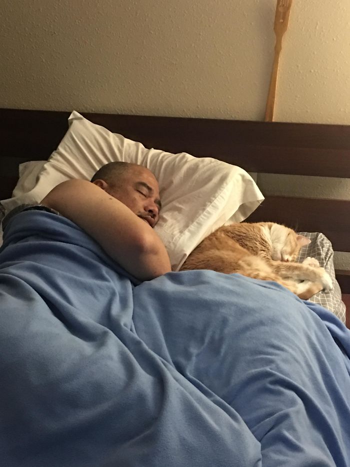 When I Moved To The East Coast, Dad Was Reluctant To Take Care Of Derrick While I Was Gone. Unfortunately, Derrick Crossed Rainbow Bridge Today, But He Definitely Made My Dad A Cat Lover Now, As He’s Looking To Adopt A Cat For Himself